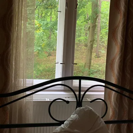 Dream For A With A Bedroom And Living Room!